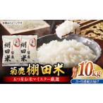 米 3回定期便 菊鹿 棚田米 10kg