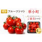 野菜類 トマト フルーツトマト 4パック