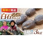 人参 大根 他根菜 年明け発送 れんこん3kg