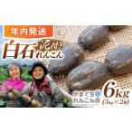 人参 大根 他根菜 2026年10月~発送