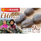 人参 大根 他根菜 2026年10月~発送