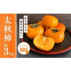 柿 太秋柿 3kg