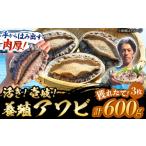 魚貝類 アワビ 着日指定 養殖アワビ 活き 壱岐