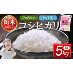 無洗米 無洗米コシヒカリ5kg こしひかり