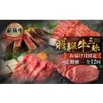 牛肉 セット 飛騨牛 まるごと 定期便 全12回