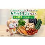 玩具 おがニャッピーと食べよう おがのふるさとセット