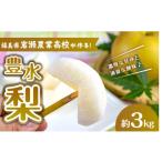 梨 岩瀬農業高校産 豊水 約3kg