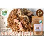 雑穀 信濃大町循環ブランド 自然栽培あけぼのもち小麦玄麦2…