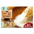人参 大根 他根菜 有機JAS認証 有機栽培長芋 約10kg