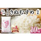 米 きぬむすめ 白米 産米 10kg