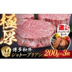 牛肉 ハンバーグ ハンバーグセット 極厚シャトーブリアン …