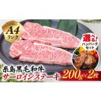 牛肉 ハンバーグ ハンバーグセット A4ランク