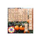 みかん 柑橘類 発送月固定定期便 愛咲果樹園