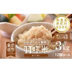 玄米 新米予約 定期便 新米 コシヒカリ 3kg