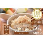 玄米 新米予約 定期便 新米 令和8年産 5kg