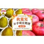 梨 2026年産 秋果実 お手頃定期便 全2回