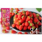 いちご 2027年発送 小粒いちご 約3.4kg