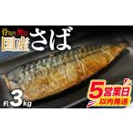 干物 サバ 5営業日以内発送 訳あり 鯖 約 3kg