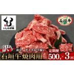 牛肉 焼肉 バーベキュー 定期便 訳あり 石垣牛