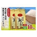 米 コシヒカリ 令和8年産 10kg