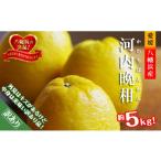 みかん 柑橘類 先行受付 爽やかでみずみずしい