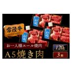 牛肉 モモ 常陸牛 焼肉 お一人様エール 120g×3箱