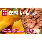野菜類 サツマイモ 10月~ 種子島 野 ファーム