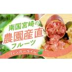 果物類 数量 南国宮崎の農園産直 フィンガーライム100g_M34…