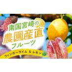 果物類 数量 南国宮崎の農園産直セット レモン4.5kg