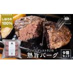 肉 ハンバーグ しほろ牛100%熟旨バーグ9個セット