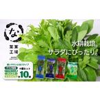セット 詰合せ 葉野菜 サラダ 4種セット 春菊