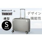 横型 Sサイズ トライデント シルバー TRI1030-45