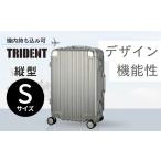 縦型 Sサイズ トライデント シルバー TRI1030-48