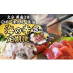 魚貝類 受付中 予定 定期便 全3回 南 臼杵 津久見