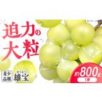 ぶどう マスカット シャインマスカット 雄宝 800g以上