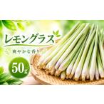 野菜類 ハーブ レモングラス 50g
