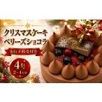 ケーキ カステラ ガトーショコラ 着日指定