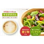 食器 グラス 皿 対馬産 桧のサラダボウル 対馬ヤマネコ工房