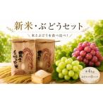 果物の詰合せ 米 シャインマスカット 食べ比べ