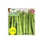 fu.... налог овощи вид спаржа Yamagata префектура река запад блок предшествующий предварительный заказ . мир 9 год Yamagata префектура река запад блок производство снег страна весна спаржа L размер 250g 1764684