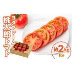 fu.... налог овощи вид помидор Yamanashi префектура Showa блок персик Taro помидор 2kg( осень произведение ) SWBQ001-b осень произведение 