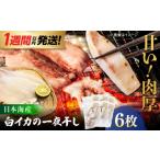 白イカ 一夜干し 6枚セット 有限会社ヤマヲ水産