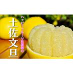 土佐文旦 20kg