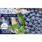 果物類 完熟 ブルーベリー 500g