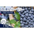 果物類 完熟 ブルーベリー 1kg