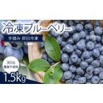 果物類 完熟 ブルーベリー 1.5kg