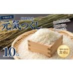 米 令和8年度 先行受付 元気つくし 10kg