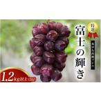 ぶどう マスカット 早い者勝ち 特選 富士の輝き2房 約1.2kg
