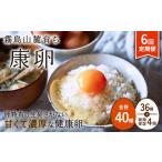 卵 鶏 烏骨鶏等 6回定期便 霧島山麓育ち こだわり卵