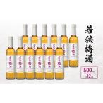 お酒 リキュール 若狭梅酒 500ml